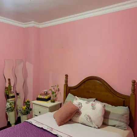 Pink House -